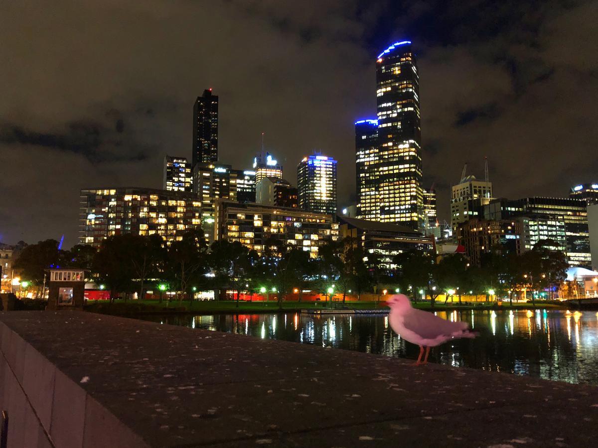 Melbourne River Viewsアパートメント エクステリア 写真